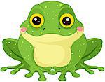 Illustration of cute green toad