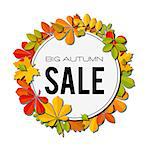 Sale banner with bright autumn leaves isolated on white background. Art vector illustration.