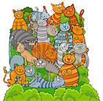 Cartoon Illustration of Funny Cats and Kittens Animal Characters Group