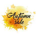 Abstract autumn background with yellow sunflowers and falling maple leaves. "Autumn sale" lettering and yellow watercolor blots.