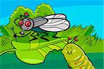 Cartoon Illustration of Funny Fly and Caterpillar Insect Characters