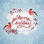 Vector Christmas banner with two bullfinches and greeting inscription. Merry Christmas lettering