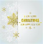 Decorative vector Christmas background with white and golden snowflakes. Merry Christmas lettering.