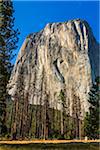 Sunlit El Capitan in the Yosemite Valley in Yosemite National Park in California, USA