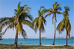 Junkanoo beach, Nassau, Providence Island, Bahamas, West Indies, Caribbean, Central America
