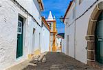 Two cats in a back street in Alegrete, a medieval walled village bordering Spain in the high Alentejo, Portugal, Europe