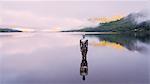 The Mirror Man, Loch Earn, Highlands, Scotland, United Kingdom, Europe