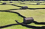 Stone field barns and dry stone walls at Gunnerside, Swaledale, Yorkshire Dales, Yorkshire, England, United Kingdom, Europe
