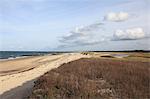 Town Neck Beach, Cape Cod Bay, Sandwich, Cape Cod, Massachusetts, New England, United States of America, North America