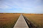 Sandwich Boardwalk, Salt Marsh, Sandwich, Cape Cod, Massachusetts, New England, United States of America, North America