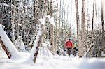 Rear view of man and son in snow covered forest