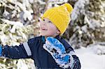 Boy in yellow knit hat looking up in snow covered forest