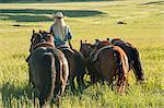 Rear view of teenage girl leading four horses, Enterprise, Oregon, United States, North America