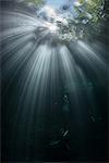 Sun rays through jungle canopy and surface on fresh water spring