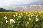 Europe,Italy, Umbria, Perugia district, Sibillini mountains, Castelluccio of Norcia village at sunset