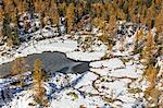 Aerial view of Mufule Lake surrounded by autumnal larches and snow. Valmalenco, Valtellina, Sondrio, Lombardy, Italy, Europe.