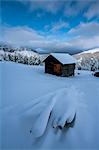 Wooden lodge covered in snow. Passo delle Erbe, Bolzano, Trentino Alto Adige - Sudtirol, Italy, Europe.