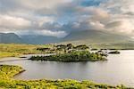 Pine Island on Derryclare Lake. Connemara, Co. Galway, Connacht province, Ireland.