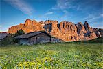 Passo Gardena, Dolomites South Tyrol, Italy. Alpenglow in the wall of the Sella