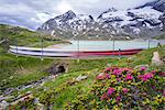 Passo del Bernina - Swizterland Long exposure of Bernina Express