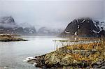 Foggy, cold rugged mountains and river, Hamnoya, Lofoten, Norway