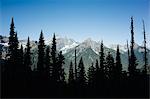 Mountains and alpine forest in foreground, along the Pacific Crest Trail, near Rainy Pass, North Cascades National Park.