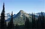 Mountains and alpine forest in foreground, along the Pacific Crest Trail, near Rainy Pass, North Cascades National Park, Washington.