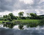 Blue wooden rowboat lying on the shore of Glenade Lake, Glenade, County Leitrim, Ireland.