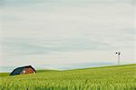 Red barn in the landscape, on the rolling hills of summer wheat, Palouse,