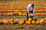 A man and a boy toddler among rows of bright yellow, green and orange pumpkins in autumn.