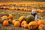 A small boy sitting among rows of bright yellow, green and orange pumpkins in a field, laughing.