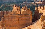 Hiking the Queens Garden Trail, Bryce Canyon National Park, Utah, United States of America, North America