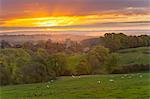 Cotswold countryside and St. James Church at dawn, Chipping Campden, Cotswolds, Gloucestershire, England, United Kingdom, Europe