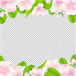 Apple Tree Flowers With Frame Gradient Mesh, Vector Illustration