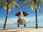 An elephant sitting in a hammock on the beach and look at sea. This is a 3d render illustration