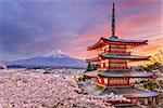 Fujiyoshida, Japan at Chureito Pagoda and Mt. Fuji in the spring with cherry blossoms.