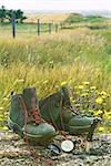 Hiking boots with knife and compass on tree log in field of wild flowers