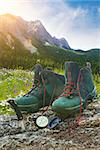 Hiking boots with knife on tree trunk with mountains in background