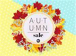 Autumn Sale. 3D stylized multicolored leaves wreath on colored paper rainy background. Round fall leaves and berries frame with autumn discount text. Cartoon style vector illustration