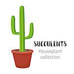 Cactus icons in cartoon flat style isolated on white background. Home plants cactus in pots and with flowers. A variety of decorative cactus with prickles and without.