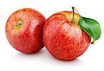 Two ripe red apple fruits with green leaf isolated on white background. Red apples with clipping path