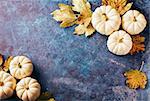 Autumn background with small pumpkins with copyspace.