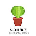 Cactus icons in cartoon flat style isolated on white background. Home plants cactus in pots and with flowers. A variety of decorative cactus with prickles and without.