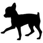 Silhouette of a dog.Vector illustration of chihuahua