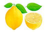 Lemons isolated on white background with clipping path