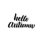 Hello Autumn Handwritten Lettering. Vector Illustration of Brush Pen Calligraphy Isolated over White Background.