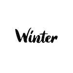 Winter Handwritten Lettering. Vector Illustration of Brush Calligraphy.