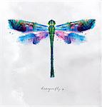 Monotype vivid colorful dragonfly drawing with different colors on paper background