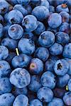 Fresh blueberries closeup, fruits background