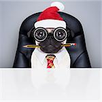 office businessman pug dog  as  boss and chef , busy and burnout , sitting on leather chair and desk, in need for vacation, on christmas holidays  with santa claus hat